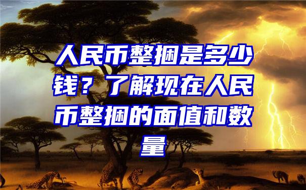 人民币整捆是多少钱？了解现在人民币整捆的面值和数量