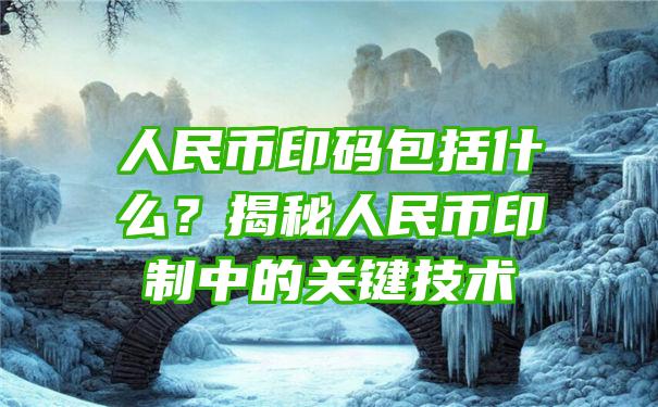 人民币印码包括什么？揭秘人民币印制中的关键技术