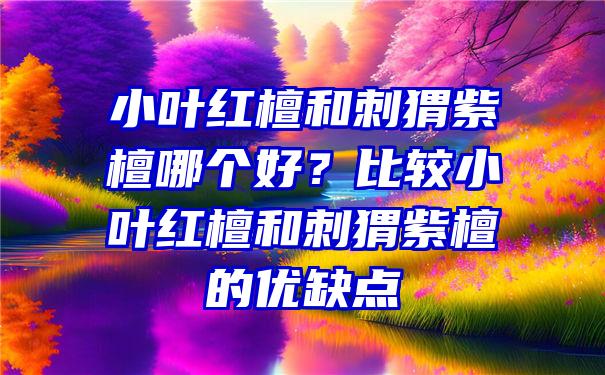 小叶红檀和刺猬紫檀哪个好？比较小叶红檀和刺猬紫檀的优缺点