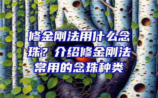 修金刚法用什么念珠？介绍修金刚法常用的念珠种类