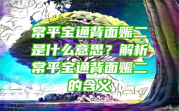 常平宝通背面赈二是什么意思？解析常平宝通背面赈二的含义