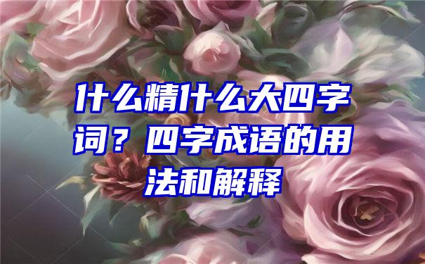 什么精什么大四字词？四字成语的用法和解释