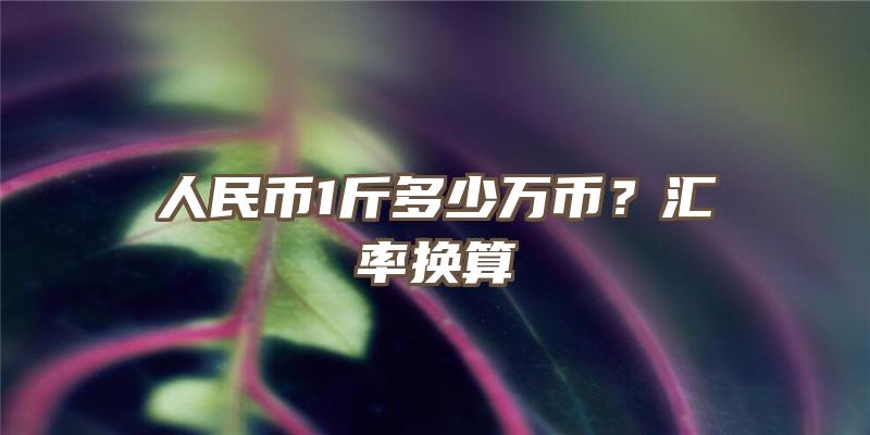 人民币1斤多少万币？汇率换算