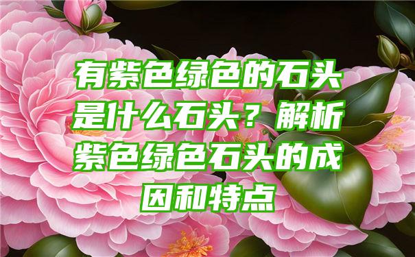 有紫色绿色的石头是什么石头？解析紫色绿色石头的成因和特点