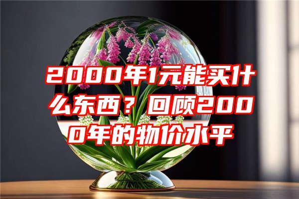 2000年1元能买什么东西？回顾2000年的物价水平