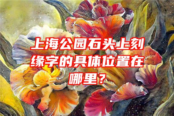 上海公园石头上刻缘字的具体位置在哪里？