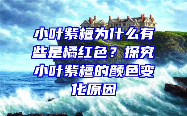 小叶紫檀为什么有些是橘红色？探究小叶紫檀的颜色变化原因