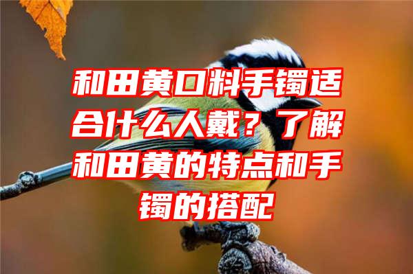 和田黄口料手镯适合什么人戴？了解和田黄的特点和手镯的搭配