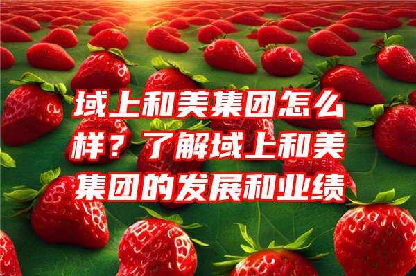 域上和美集团怎么样？了解域上和美集团的发展和业绩