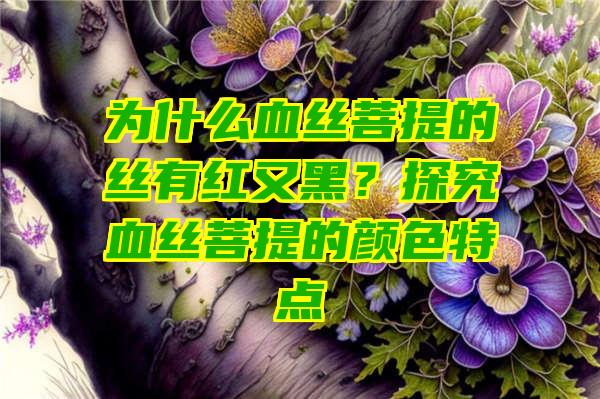 为什么血丝菩提的丝有红又黑？探究血丝菩提的颜色特点